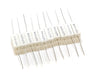 5W 0.1ohm Block Resistor (10)