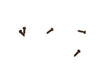 Replacement Parts for C28240, C28241, C28244 & C28246
