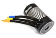 Surpass Hobby Black 3660 Sensorless Brushless Motor 3300kV w/ 3.17mm Shaft