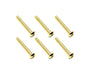 Square R/C M3 x 20mm Stainless Steel Button Head Hex Screws, Gold Plated 6 pcs.