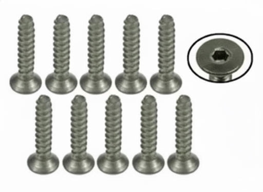 3Racing M2 x 10 Titanium Flat Head Hex Socket - Self Tapping (10 Pcs)